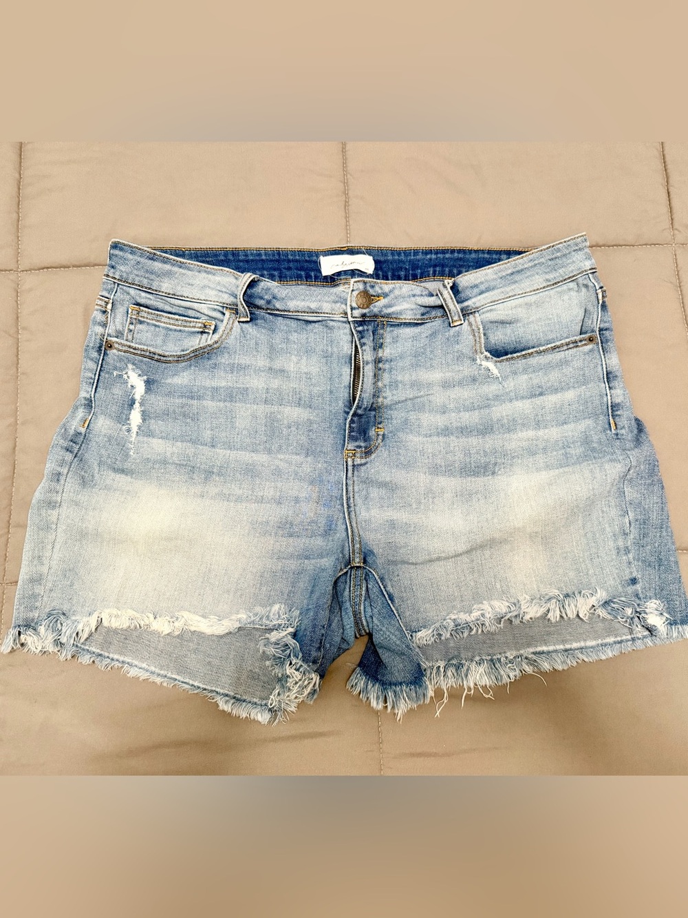 CJLA Light Wash Distressed Denim Cutoff Shorts - 2X